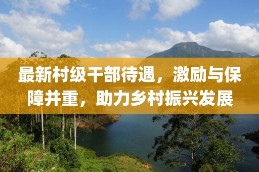 最新村级干部待遇，激励与保障并重，助力乡村振兴发展