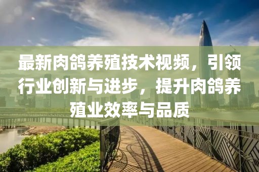 最新肉鸽养殖技术视频，引领行业创新与进步，提升肉鸽养殖业效率与品质
