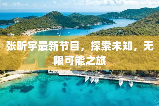 张昕宇最新节目，探索未知，无限可能之旅