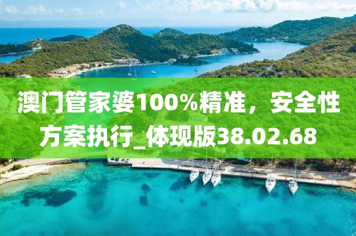澳门管家婆100%精准，安全性方案执行_体现版38.02.68