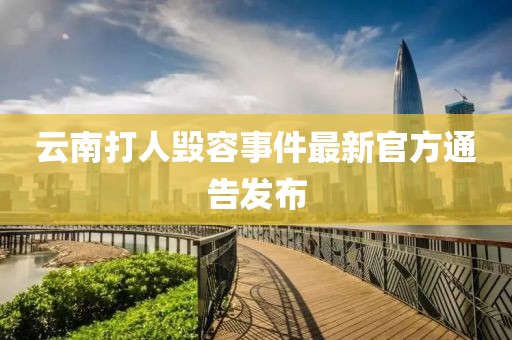 云南打人毁容事件最新官方通告发布