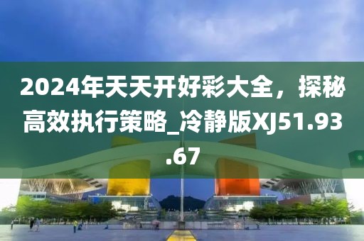 2024年天天开好彩大全，探秘高效执行策略_冷静版XJ51.93.67