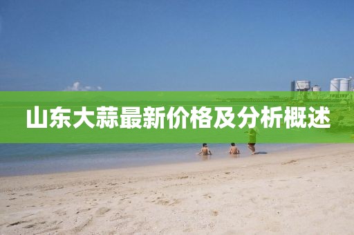 山东大蒜最新价格及分析概述