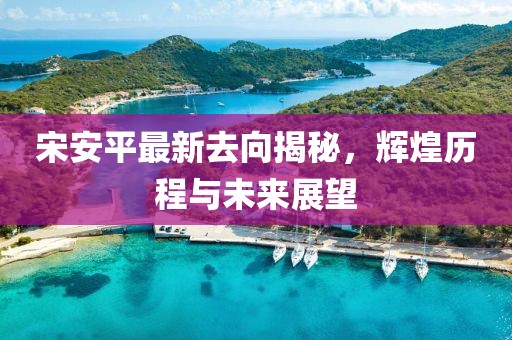 宋安平最新去向揭秘，辉煌历程与未来展望