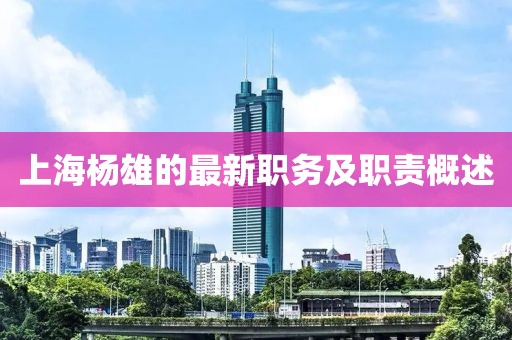 上海杨雄的最新职务及职责概述