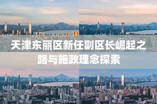 天津东丽区新任副区长崛起之路与施政理念探索