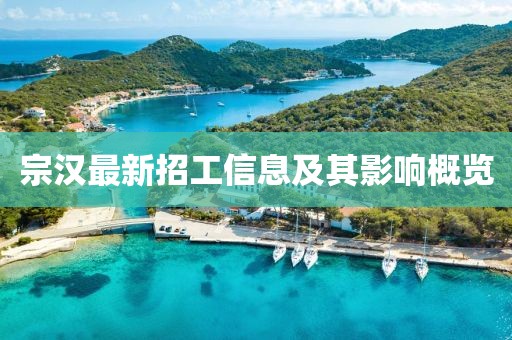 宗汉最新招工信息及其影响概览