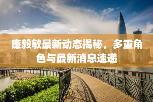 廉毅敏最新动态揭秘，多重角色与最新消息速递