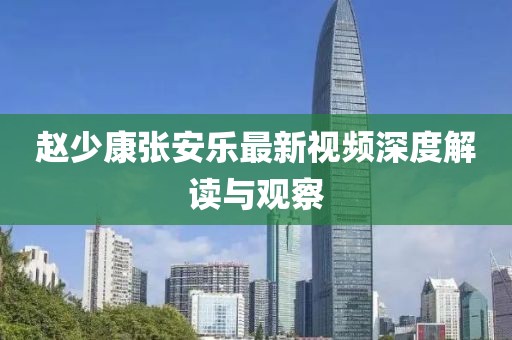 赵少康张安乐最新视频深度解读与观察