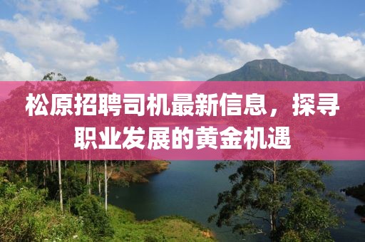 松原招聘司机最新信息，探寻职业发展的黄金机遇