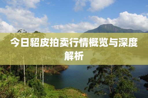 今日貂皮拍卖行情概览与深度解析