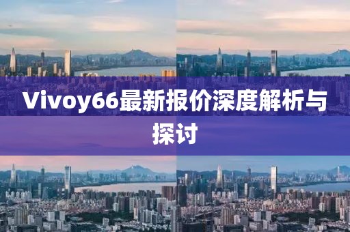 Vivoy66最新报价深度解析与探讨
