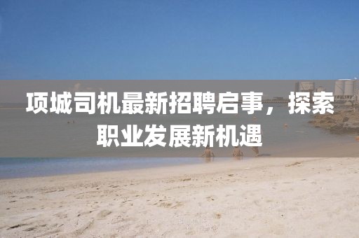 项城司机最新招聘启事，探索职业发展新机遇