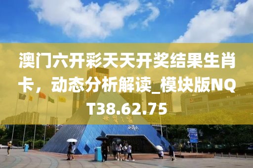 澳门六开彩天天开奖结果生肖卡，动态分析解读_模块版NQT38.62.75