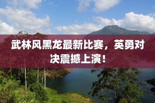 武林风黑龙最新比赛，英勇对决震撼上演！
