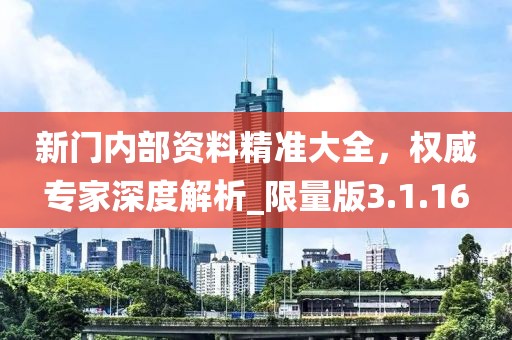 新门内部资料精准大全，权威专家深度解析_限量版3.1.16