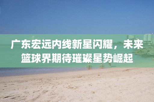 广东宏远内线新星闪耀，未来篮球界期待璀璨星势崛起