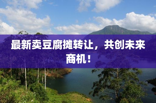 最新卖豆腐摊转让，共创未来商机！
