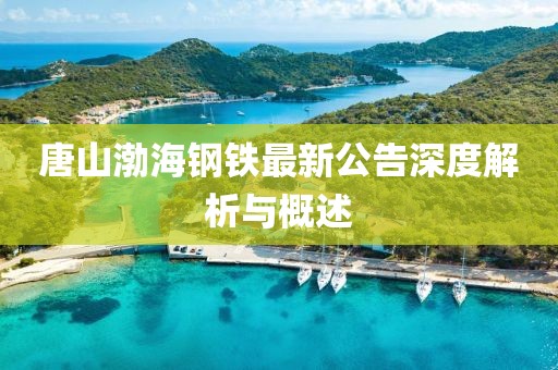 唐山渤海钢铁最新公告深度解析与概述