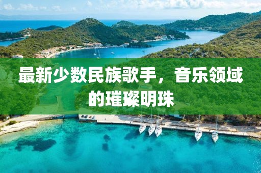 最新少数民族歌手，音乐领域的璀璨明珠