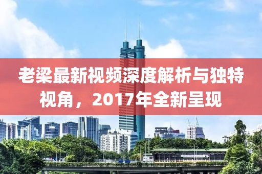 老梁最新视频深度解析与独特视角，2017年全新呈现