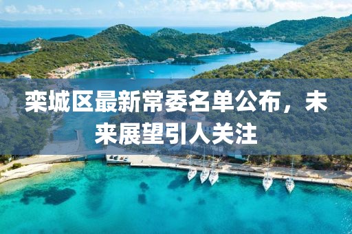 栾城区最新常委名单公布，未来展望引人关注