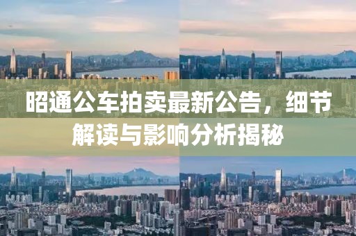 昭通公车拍卖最新公告，细节解读与影响分析揭秘