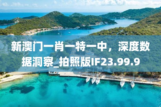 新澳门一肖一特一中，深度数据洞察_拍照版IF23.99.9