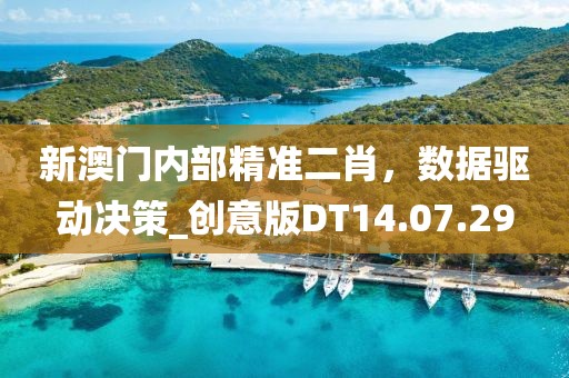 新澳门内部精准二肖，数据驱动决策_创意版DT14.07.29
