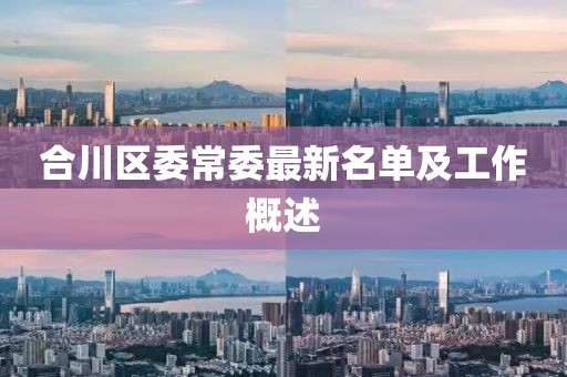 合川区委常委最新名单及工作概述