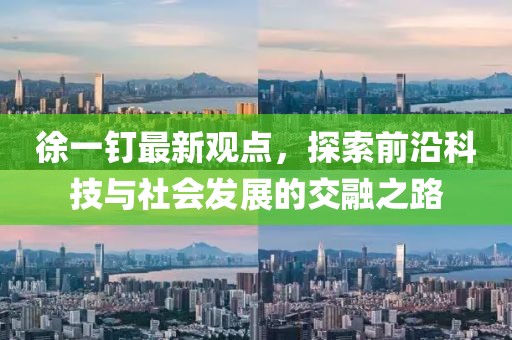 徐一钉最新观点，探索前沿科技与社会发展的交融之路
