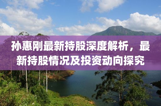 孙惠刚最新持股深度解析，最新持股情况及投资动向探究