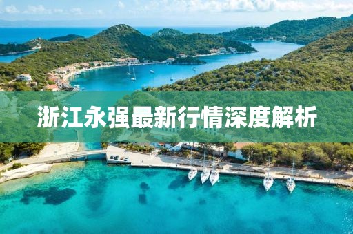 浙江永强最新行情深度解析