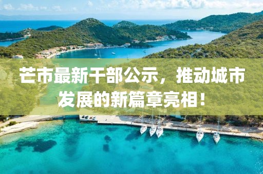 芒市最新干部公示，推动城市发展的新篇章亮相！