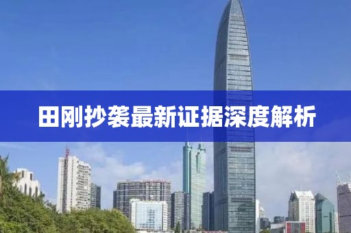 田刚抄袭最新证据深度解析