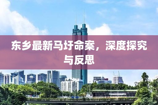 东乡最新马圩命案，深度探究与反思