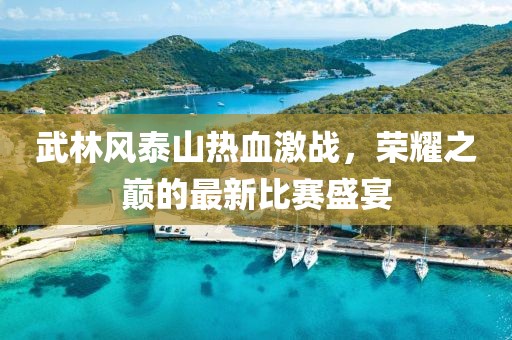 武林风泰山热血激战，荣耀之巅的最新比赛盛宴