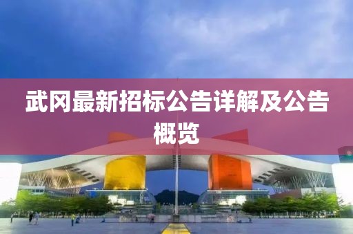 武冈最新招标公告详解及公告概览