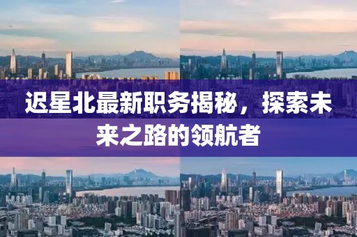 迟星北最新职务揭秘，探索未来之路的领航者