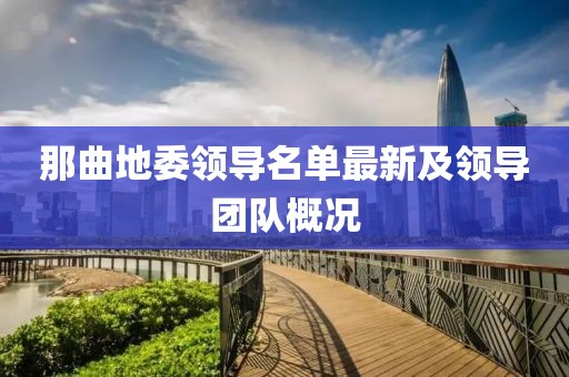 那曲地委领导名单最新及领导团队概况