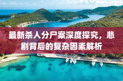 最新杀人分尸案深度探究，悲剧背后的复杂因素解析