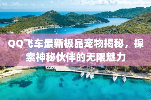 QQ飞车最新极品宠物揭秘，探索神秘伙伴的无限魅力