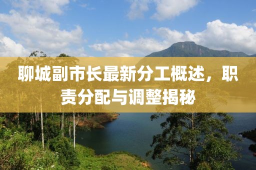 聊城副市长最新分工概述，职责分配与调整揭秘