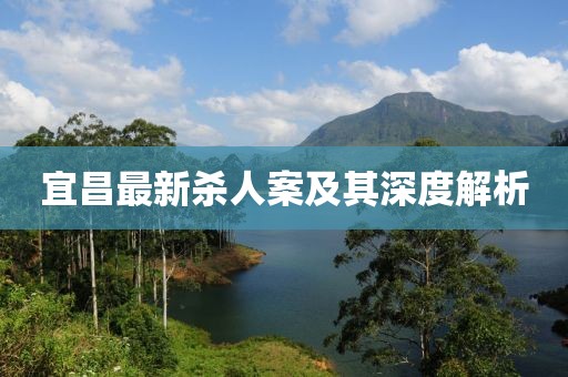 宜昌最新杀人案及其深度解析