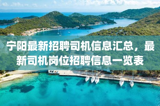 宁阳最新招聘司机信息汇总，最新司机岗位招聘信息一览表