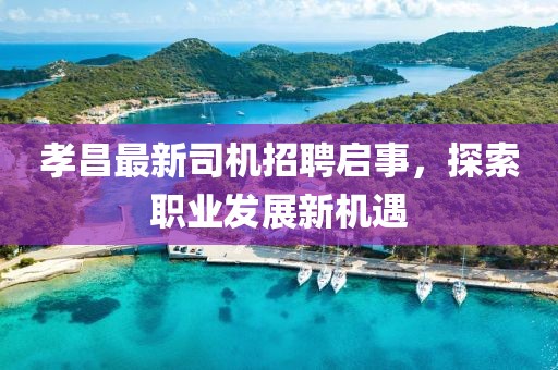孝昌最新司机招聘启事，探索职业发展新机遇