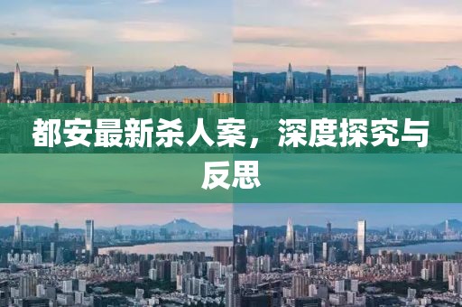 都安最新杀人案，深度探究与反思