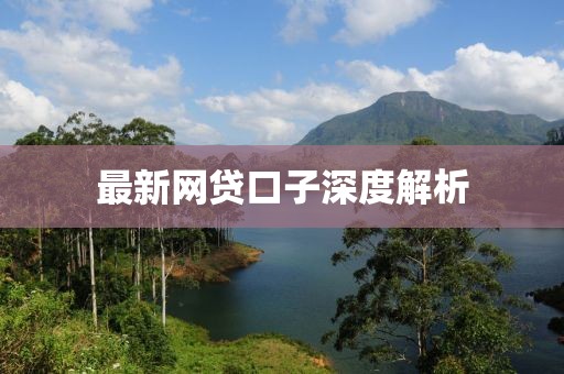 最新网贷口子深度解析