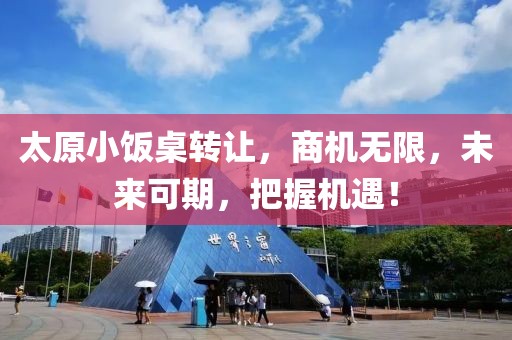 业务范围 第316页