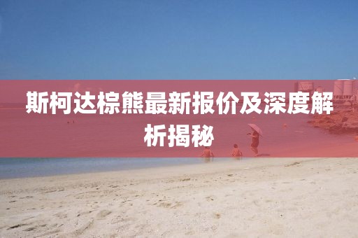 斯柯达棕熊最新报价及深度解析揭秘